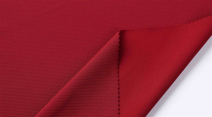 Rib Knit Swimsuit Fabric