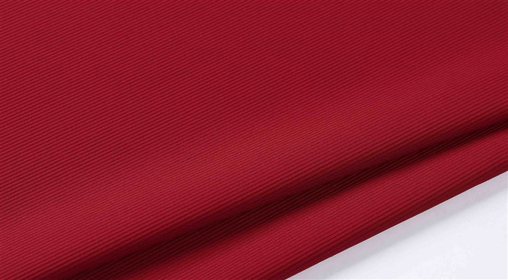 Rib Knit Swimsuit Fabric